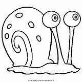 Snail Cartoni Squarepants Disegnidacoloraregratis Turrtle sketch template