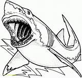 Shark Coloring Pages Scary Great Printable Sharks Getcolorings Color sketch template