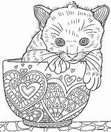 Coloring Pages Cat Colouring Kitten Cute Cup Adult Adults Printable Dog Cats Grown Sheets Book Kids Animal Ups Zentangle Colormatters sketch template