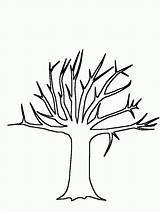 Tree Outline Drawing Coloring Popular Simple sketch template