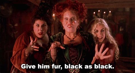 hocus pocus disney find and share on giphy