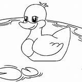 Duck Mitraland sketch template