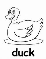 Duck Coloring Pages Baby Printable Mallard Rubber Print Unisex Color Ducks Getcolorings Alphabet Ages Worksheets Genuine Wonderful sketch template