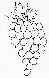 Raisin Grappe Automne Raisins Coloriages Feuille Frutta Enfants Activites Legumes Gabarits Fond Ribes Teteamodeler sketch template