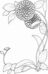 Zinnia Coloring Flowers Pages Supercoloring Categories Gif sketch template