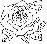 Rose Coloring Clip Wecoloringpage Pages sketch template