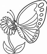 Butterfly Printable Pages Coloring Endless Creations Colouring Sunflower sketch template