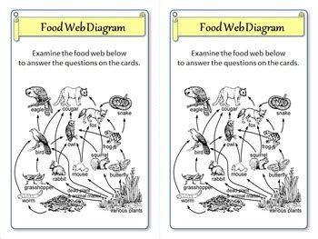 food webs task cards  editable template  tangstar science