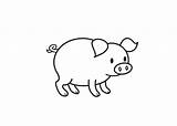 Coloring Pig Cartoon Pages Kids sketch template