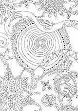 Colouring Patterns Book Around Booktopia Description Details Customer Reviews Books sketch template