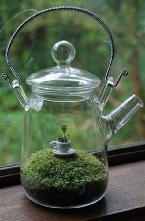 images  teapot planting  pinterest tea pots moss