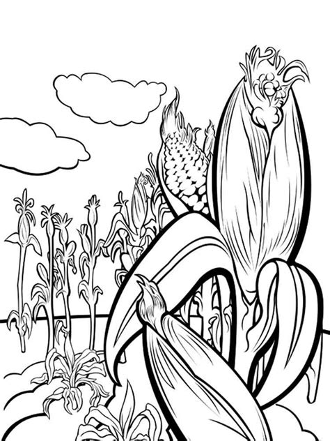 corn plant page coloring pages