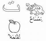 Arabic Taa Alif Tocolor Baa Arabe Crocodile Depuis Club sketch template