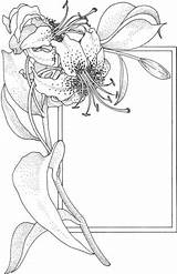 Kwiat Ramka Kolorowanka Kategorii sketch template