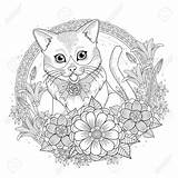 Coloring Kitty Wreath Adorable Floral Exquisite 123rf Cat Pages sketch template