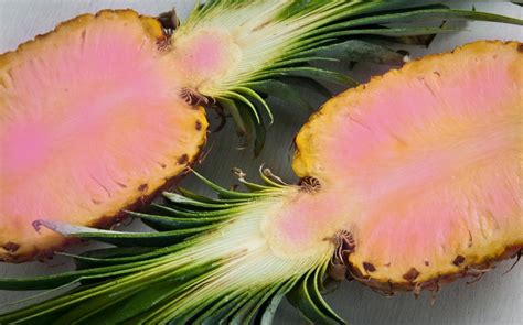 Finally What Every Woman Has Been Waiting For Pink Pineapple