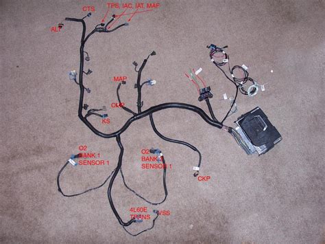 dy engine wiring harness diagram