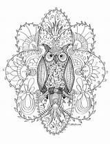 Eule Malvorlagen Erwachsene Eulen Ausmalbild Malvorlage Zentangle Ausdrucken sketch template