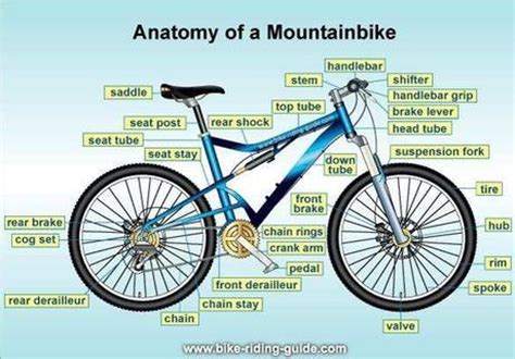 sharing anatomy  mountain bike parts components paperblog