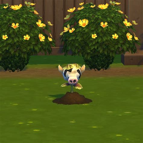 cowplant  stage sims sims  plants