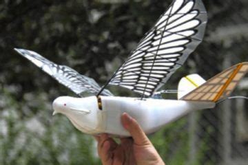 bionic flying bird soars  china robot show asas de passaro drone drones