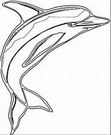 Dolphin Wecoloringpage Simpsons sketch template