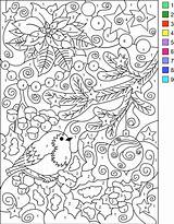 Coloring Number Color Winter Pages Nicole Adults Numbers Adult Colour Christmas Colouring sketch template