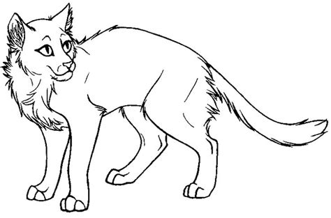 images  warrior cat coloring pages  pinterest  tree warrior cats  toms