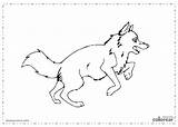 Wolven Kleurplaten Mewarnai Wolves Serigala Lobos Kleurplaat Loup Lupo Lupi Colorir Coloriages Coloriage Corriendo Colorier sketch template