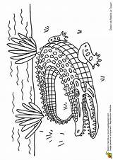 Crocodile Hugolescargot Colorier Hugo Eau Savane Escargot Dents Afrique sketch template