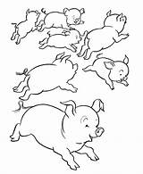 Pig Coloring Pigs Pages Color Print Many Popular Comments Coloring2print sketch template