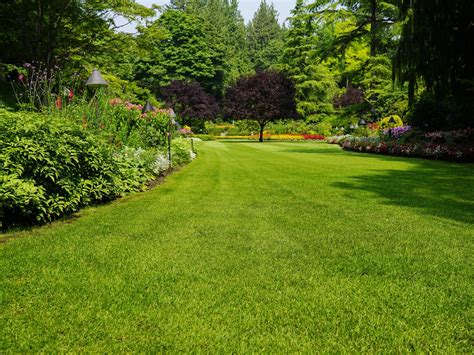 grow grass fast american homeowners association