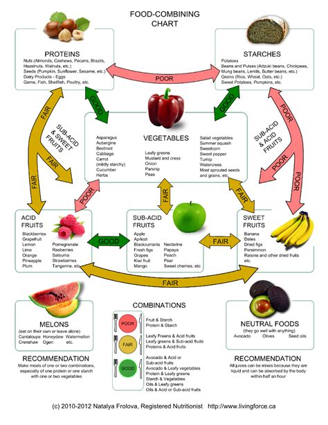 food combining work  hay diet infofit