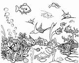 Fish Coloring Tank Pages Aquarium Tropical Drawing Drawings Color Netart Real Fishtank Printable Getdrawings Kids Printables Getcolorings Designlooter Imgarcade sketch template
