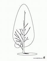 Pine Tree Coloring Pages Library Clipart sketch template