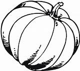 Pumpkin Coloring Pages Outline Printable Drawing Kids Blank Fall Patch Template Scary Gourd Pumpkins Color Print Clipartmag Benefits Drawings Getdrawings sketch template