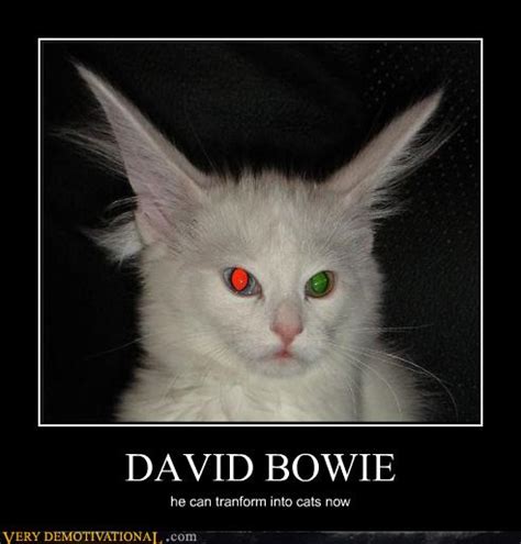 David Bowie Very Demotivational Demotivational Posters