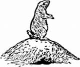 Prairie Dog Coloring Pages Burrow sketch template