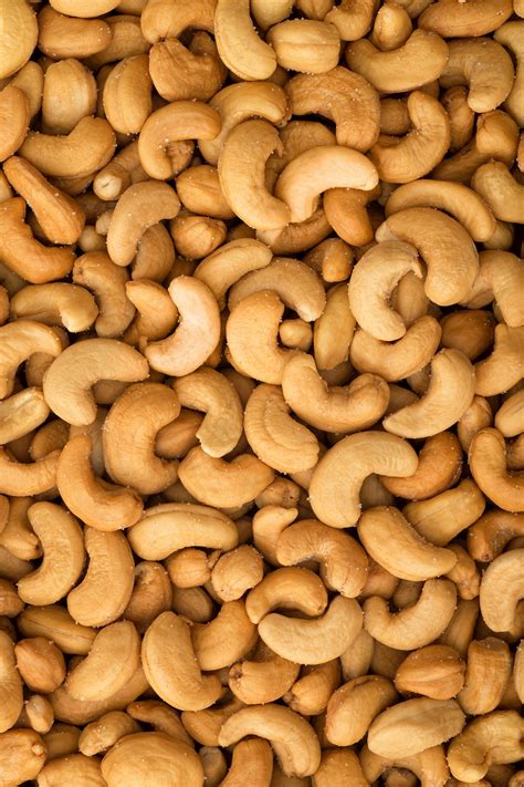cashew nuts profile nepc