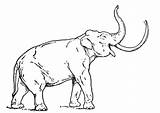 Mammoth Mastodonte Mammut Mastodon Mamut Kids Wooly Ausmalbilder sketch template