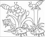 Coloring Spring Pages Sheets Kids Choose Board Insects Color sketch template