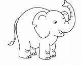 Elefant Malvorlagen Elephants Elefanten Maus Sendung Stampe sketch template