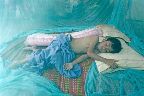 New Malaria Strain Raises Problems Fears National Phnom