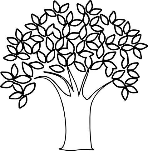 draw  spring tree    draw