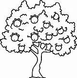 Pecan Tree Drawing Paintingvalley Coloring Pages sketch template
