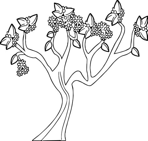 nice spring tree coloring page tree coloring page flower coloring