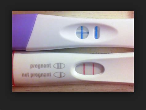 tyshley secret pregnancy test wattpad