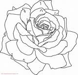 Mawar Bunga Mewarnai Paud Kepada Meningkatkan Jiwa Bermanfaat Seni Kreatifitas Semoga sketch template