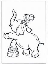 Circo Elefante Zirkus Olifant Elefantes Elefant Texto Tiere Kleurplaten Malvorlagen Motivacional Kleurplaat Jetztmalen Elephants Zoológico Infantil Circos Ninos Sucesso Pubblicità sketch template