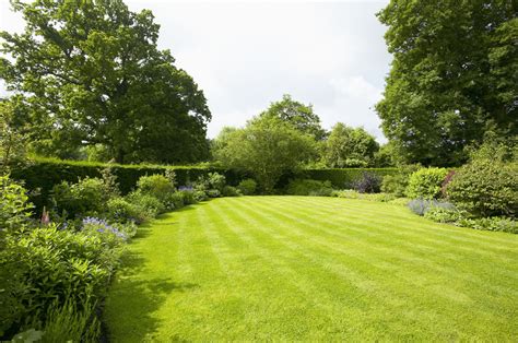 tips  growing  green lawn